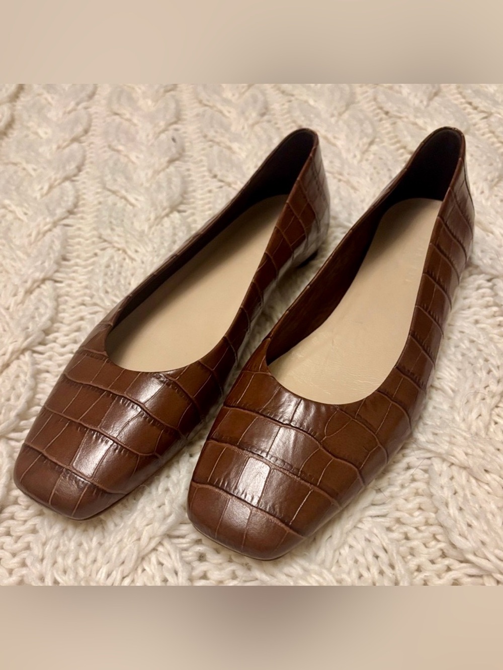 Everlane The 90’s Brown Croc-Embossed Women's Flats